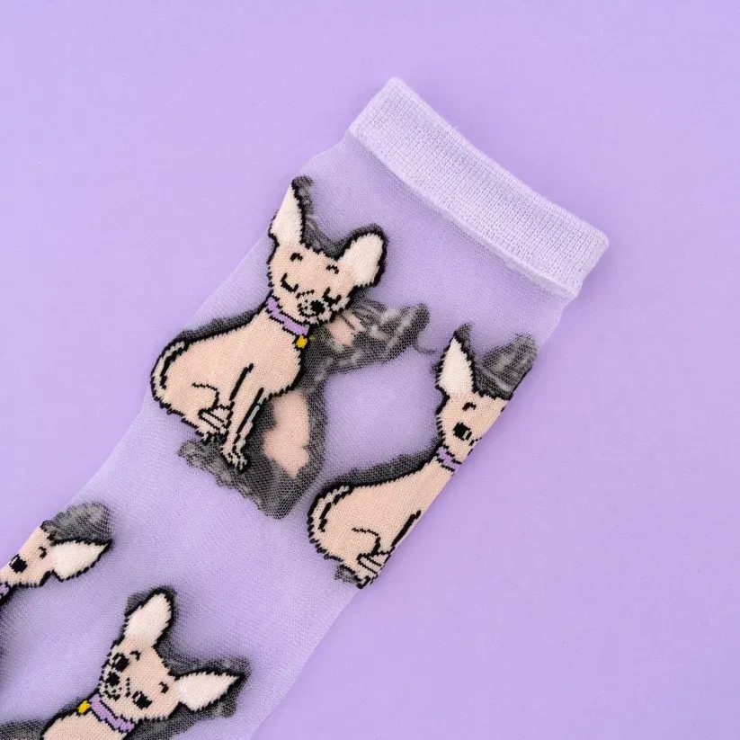 Chihuahua Sheer Socks